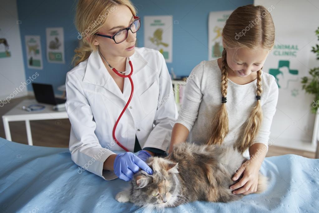Ветеринарные клиники поддерживают девушек, которые хотят найти себя в науке