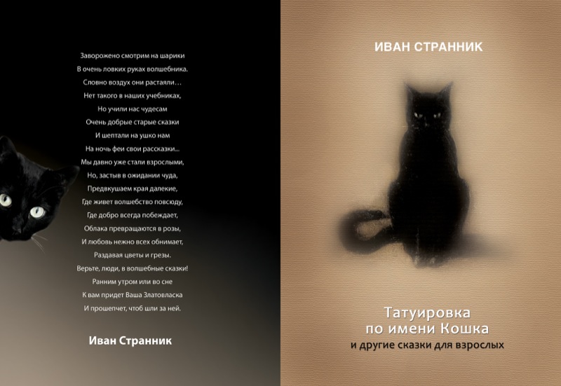 Как назвать черного. Имя для черного кота. Клички жлячерныхкотов. Имя для чёрного котёнка. Кличка для черного котенка.