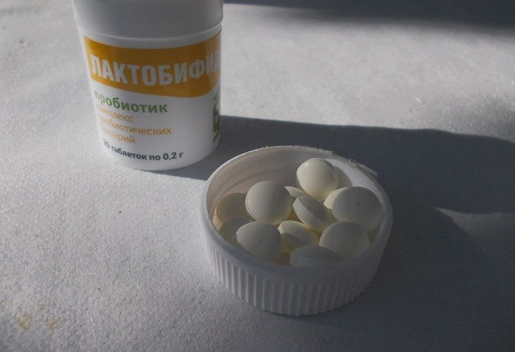 Лактобифид для собак
