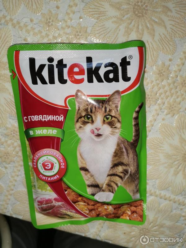 Обзор корма «Китикет» для кошек