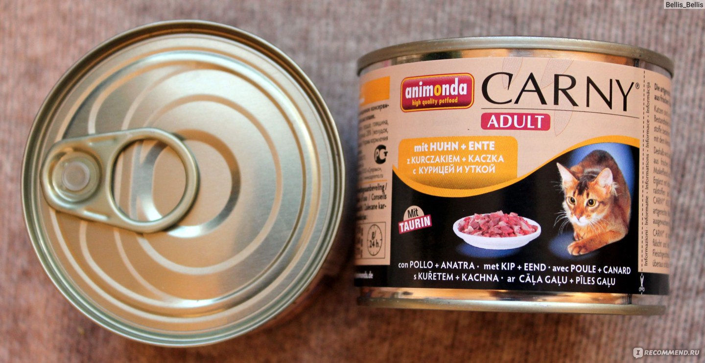 Carni life корм для кошек. Кошачьи консервы. Корм для кошек Animonda Carny - мясной коктейль. Кошачие консервы с мясом.