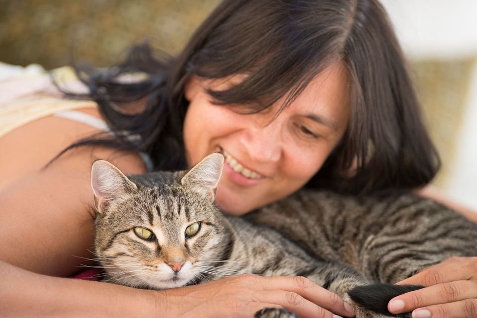 5 признаков, что ваша кошка счастлива и довольна жизнью
