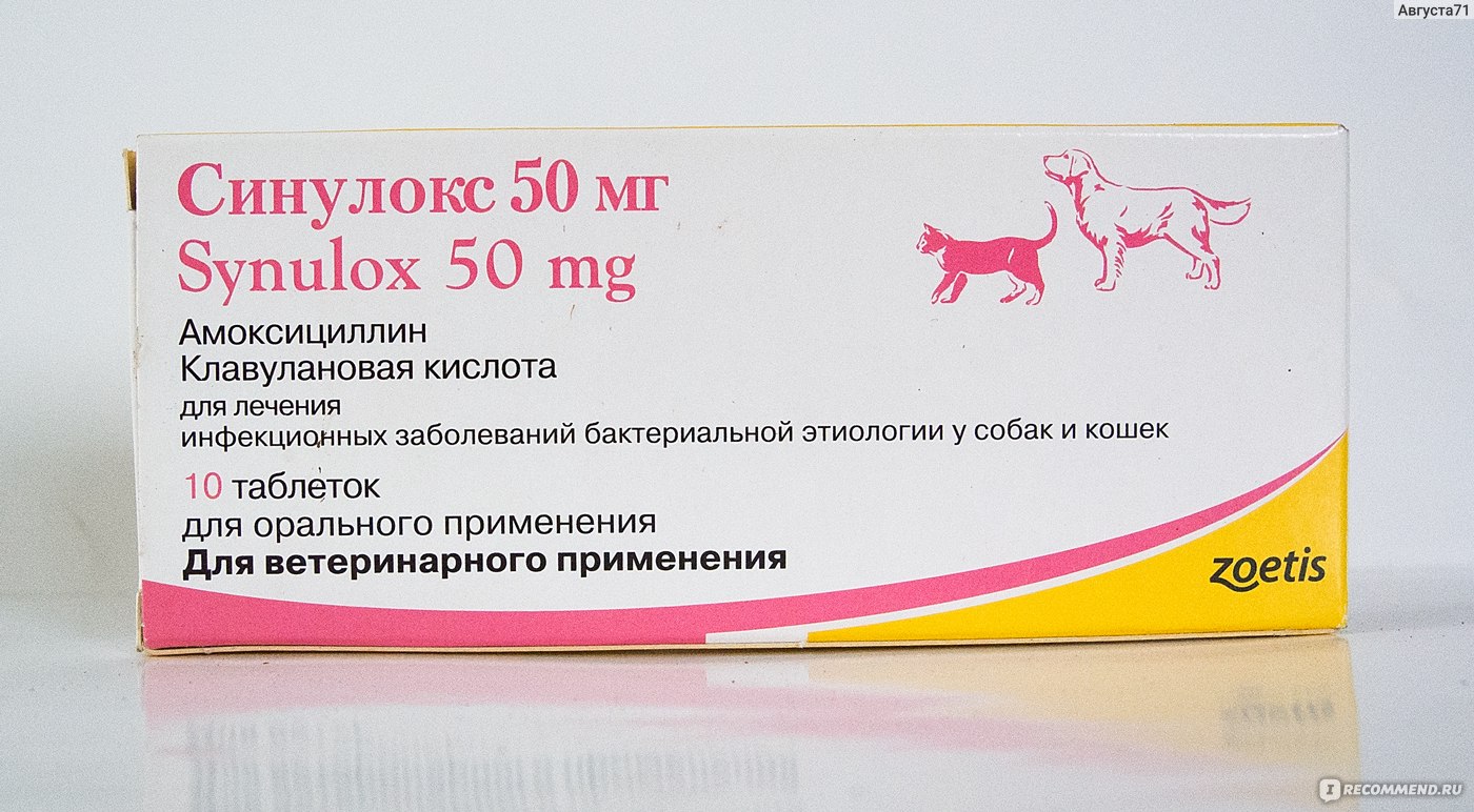 Обзор антибактериального препарата Синулокс