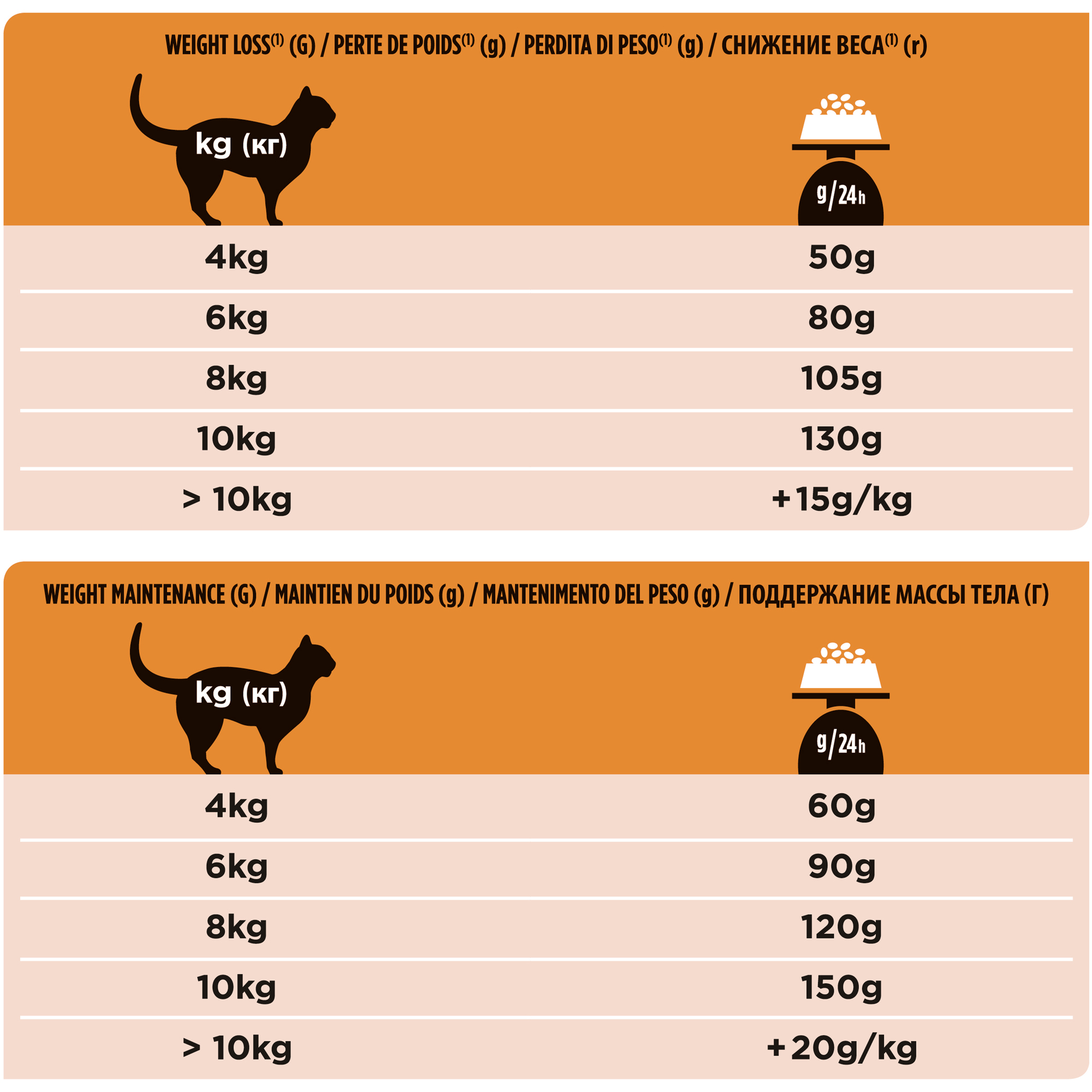 Как организовать питание кошки при имеющихся проблемах с весом