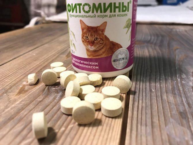 Как выбрать витамины для кошек и котов?