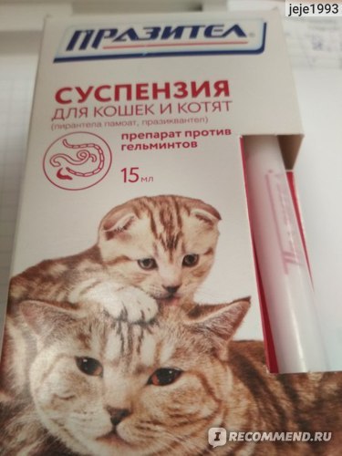 Суспензия от глистов для кошек и котят