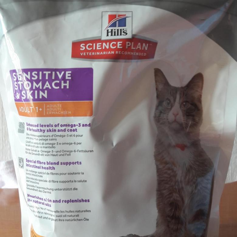 Обзор кормов для кошек с чувствительным пищеварением и заболеваниями ЖКТ