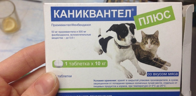 Каниквантел для кошек купить. Каниквантел 500 мг для собак. Каниквантел для собак на 10 кг. Таблетки от глистов для кошек каниквантел. Каниквантел 500мг.