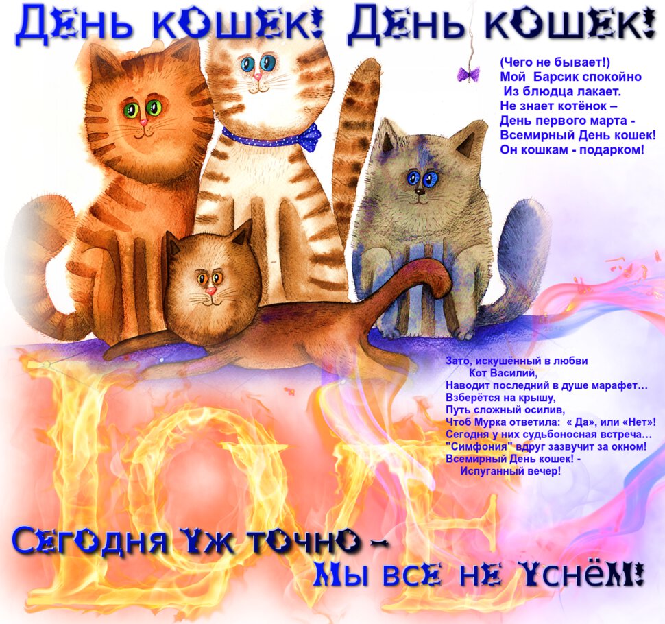 День кошек: Всемирный международный праздник