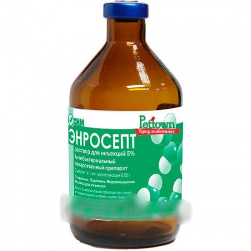 Энросепт для кошек