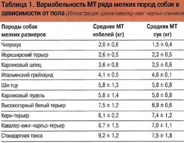 Сколько весит манхант