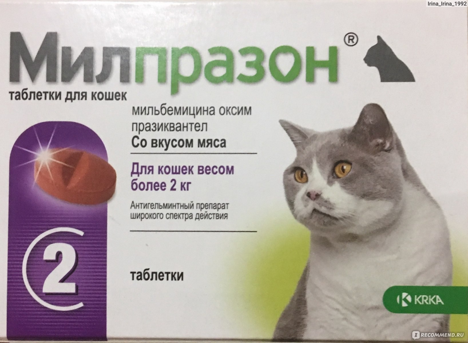 Милпразон для кошек: инструкция по применению
