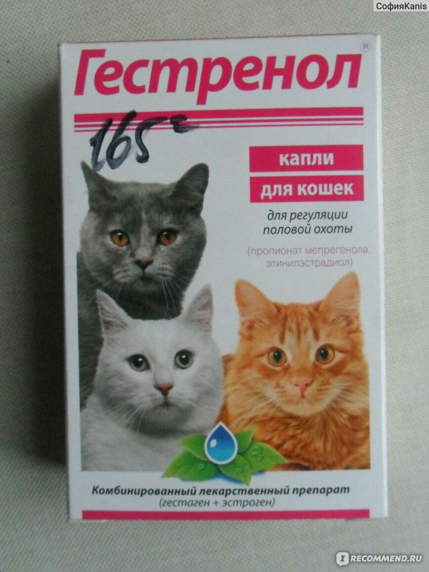 Гестренол для кошек: капли, таблетки, инструкция