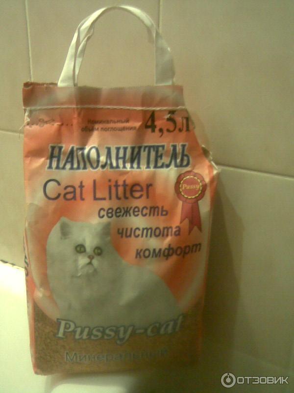 Котенок ест наполнитель для туалета: что делать