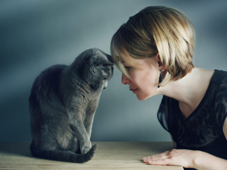 Почему некоторые кошки «разговорчивы» с хозяевами, а некоторые молчаливы